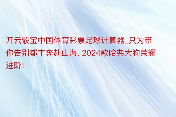 开云骰宝中国体育彩票足球计算器_只为带你告别都市奔赴山海, 2024款哈弗大狗荣耀进阶!