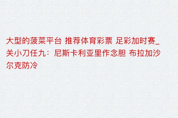 大型的菠菜平台 推荐体育彩票 足彩加时赛_关小刀任九：尼斯卡利亚里作念胆 布拉加沙尔克防冷